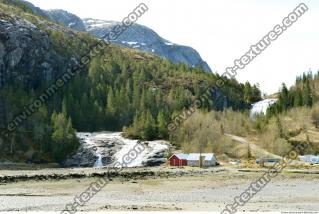 Photo Reference of Background Forest